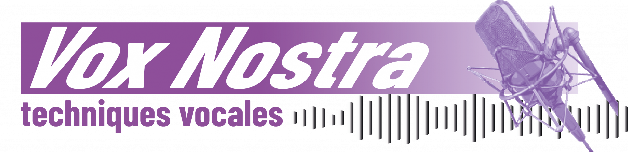 Franck – Coach vocal – Val d'Oise (95)